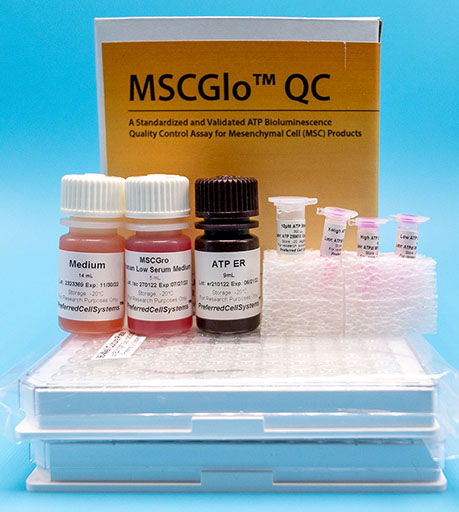 A standardized and validated ATP bioluminescence assay to ensure the quality of mesenchymal cells before and after a procedure